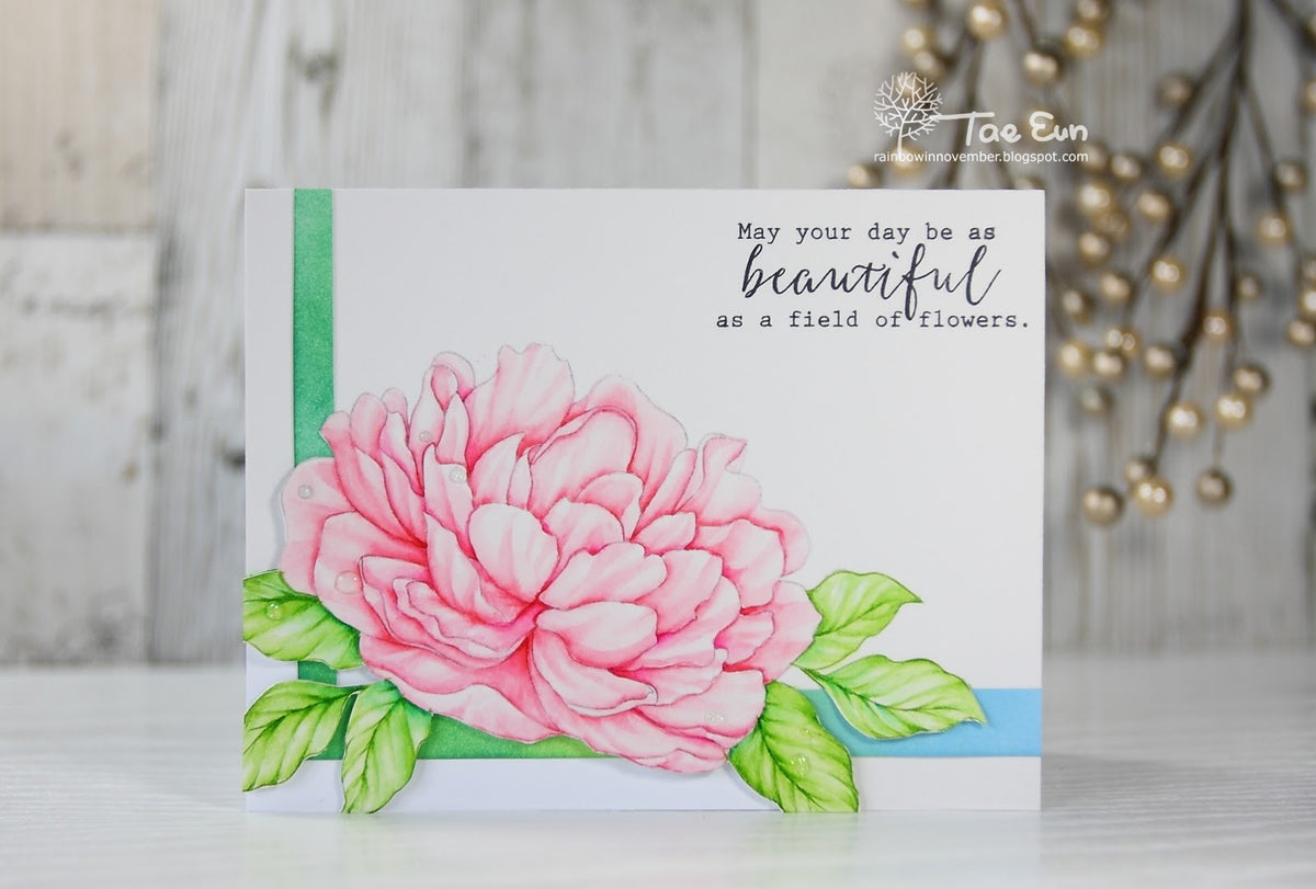 Large Peony 4
