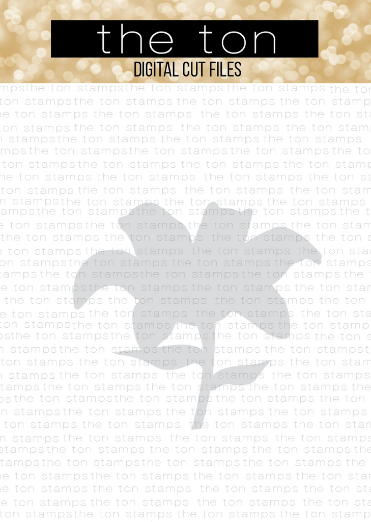 Lily Bloom SVG Coordinating Cut File