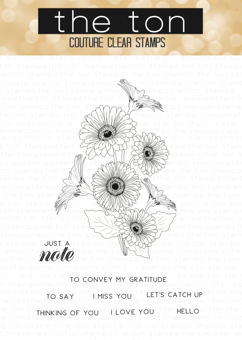 Coming Up Daisies