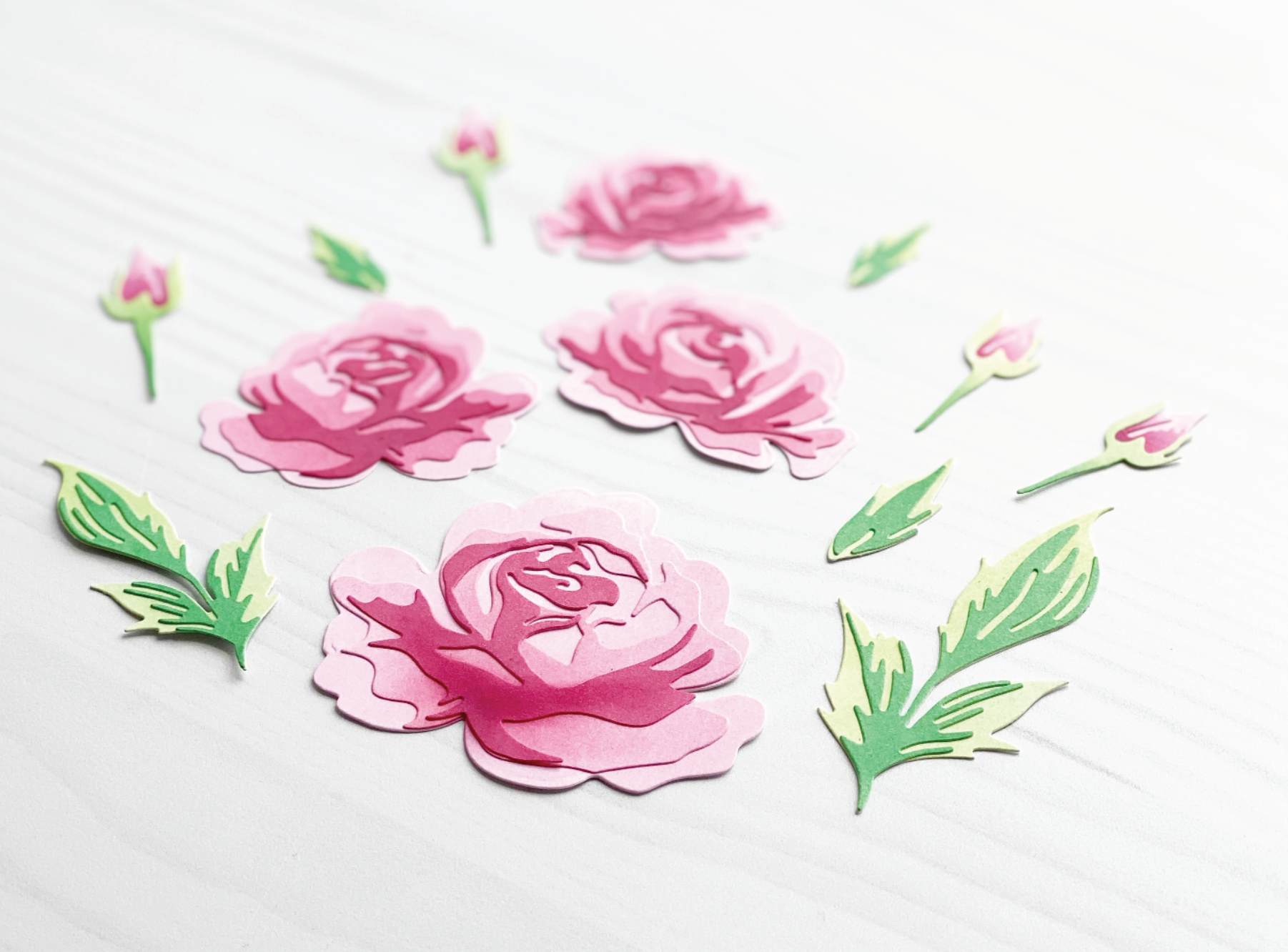 Radiant Roses Layering Dies