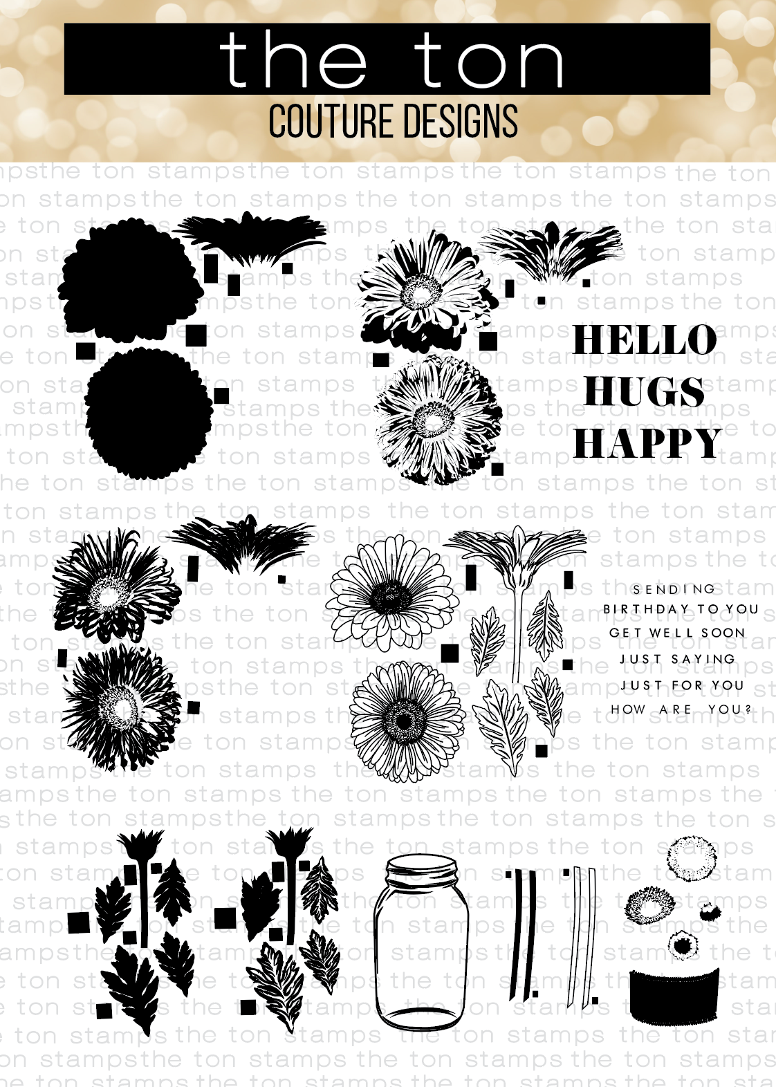 Grouped Fresh Daisies