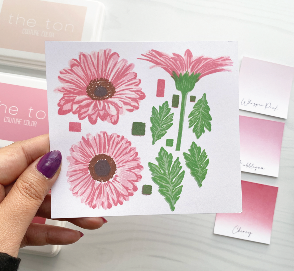 Couture Color - Rose Collection