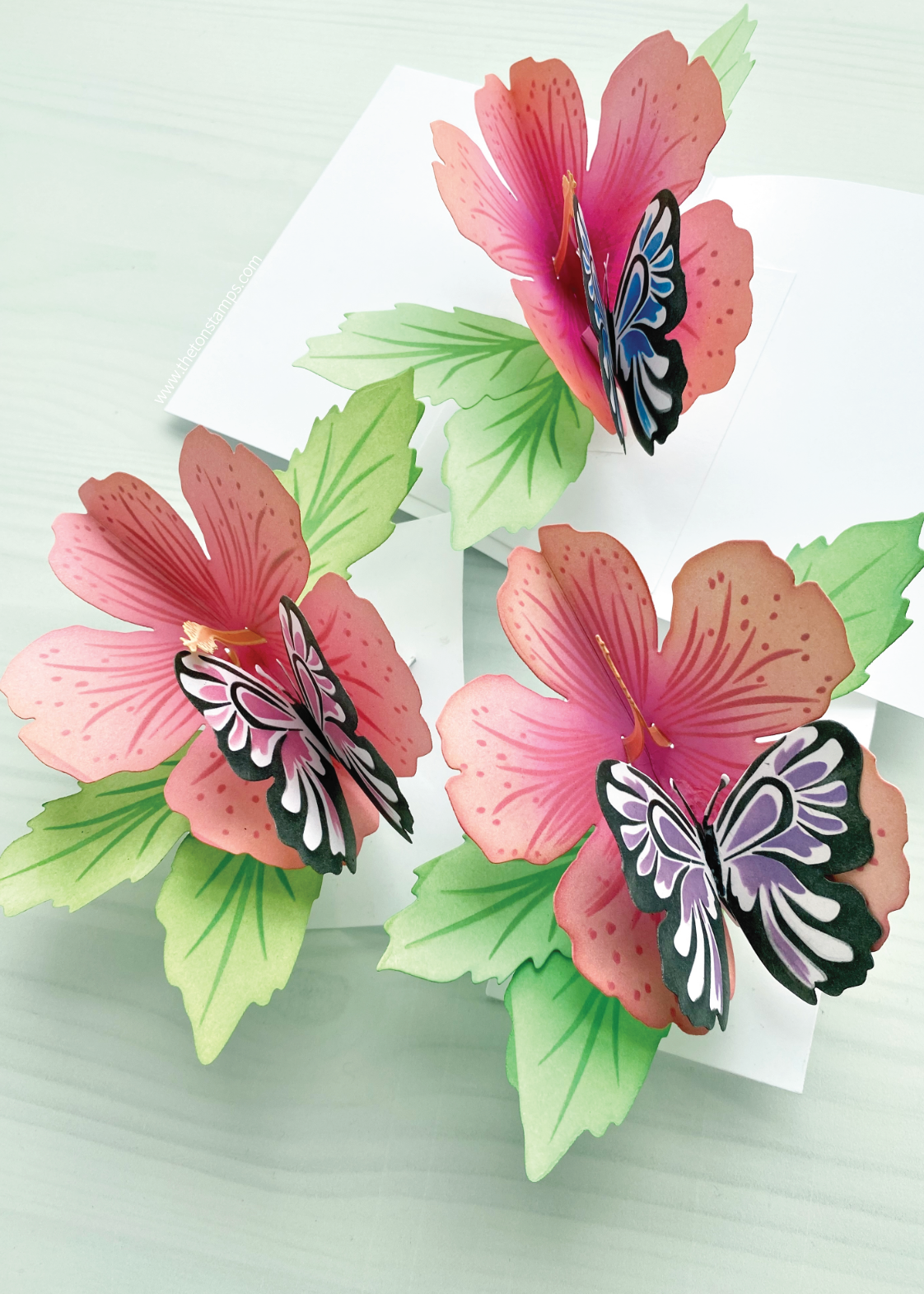 Pop-Up Hibiscus Dies