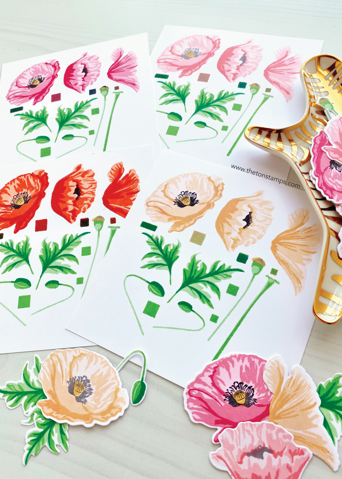 Grouped Fresh Poppies