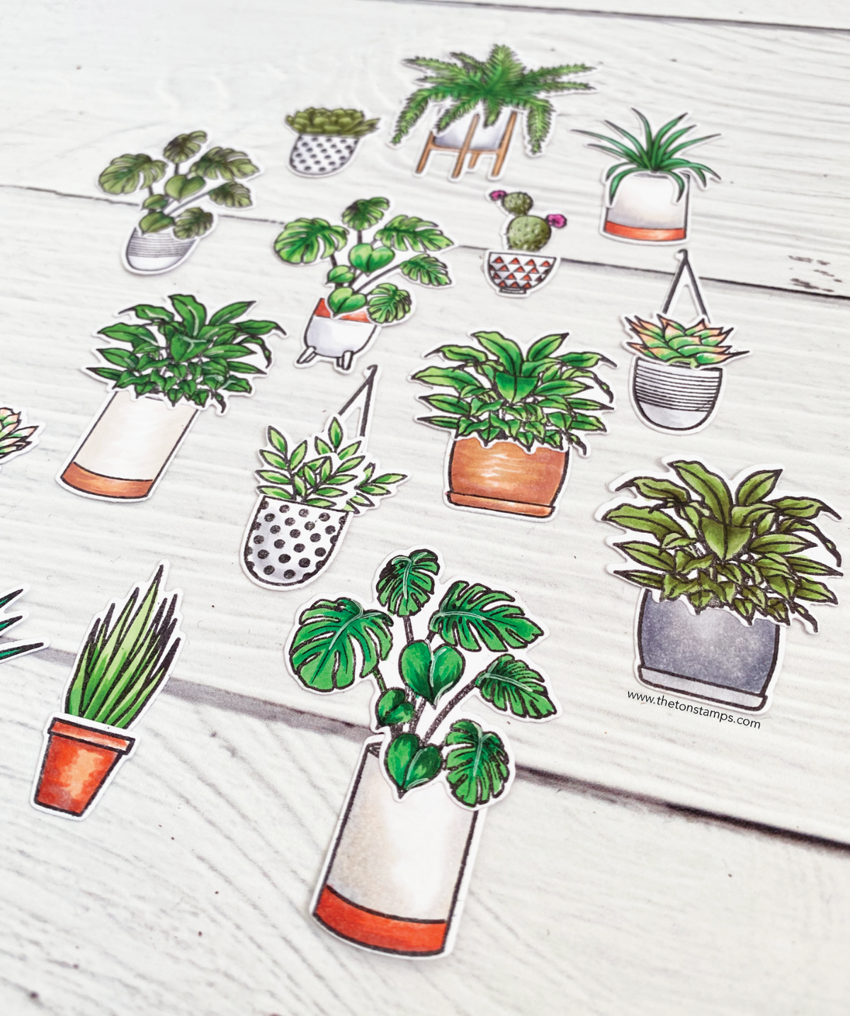 Petite Planters