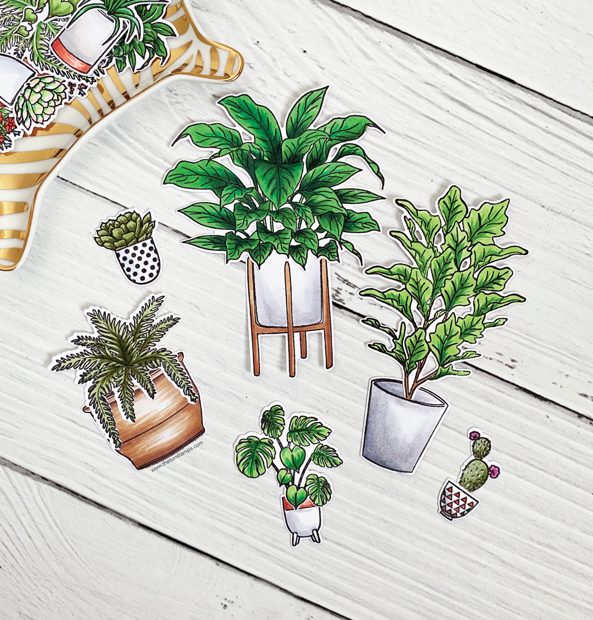 Lush Plants