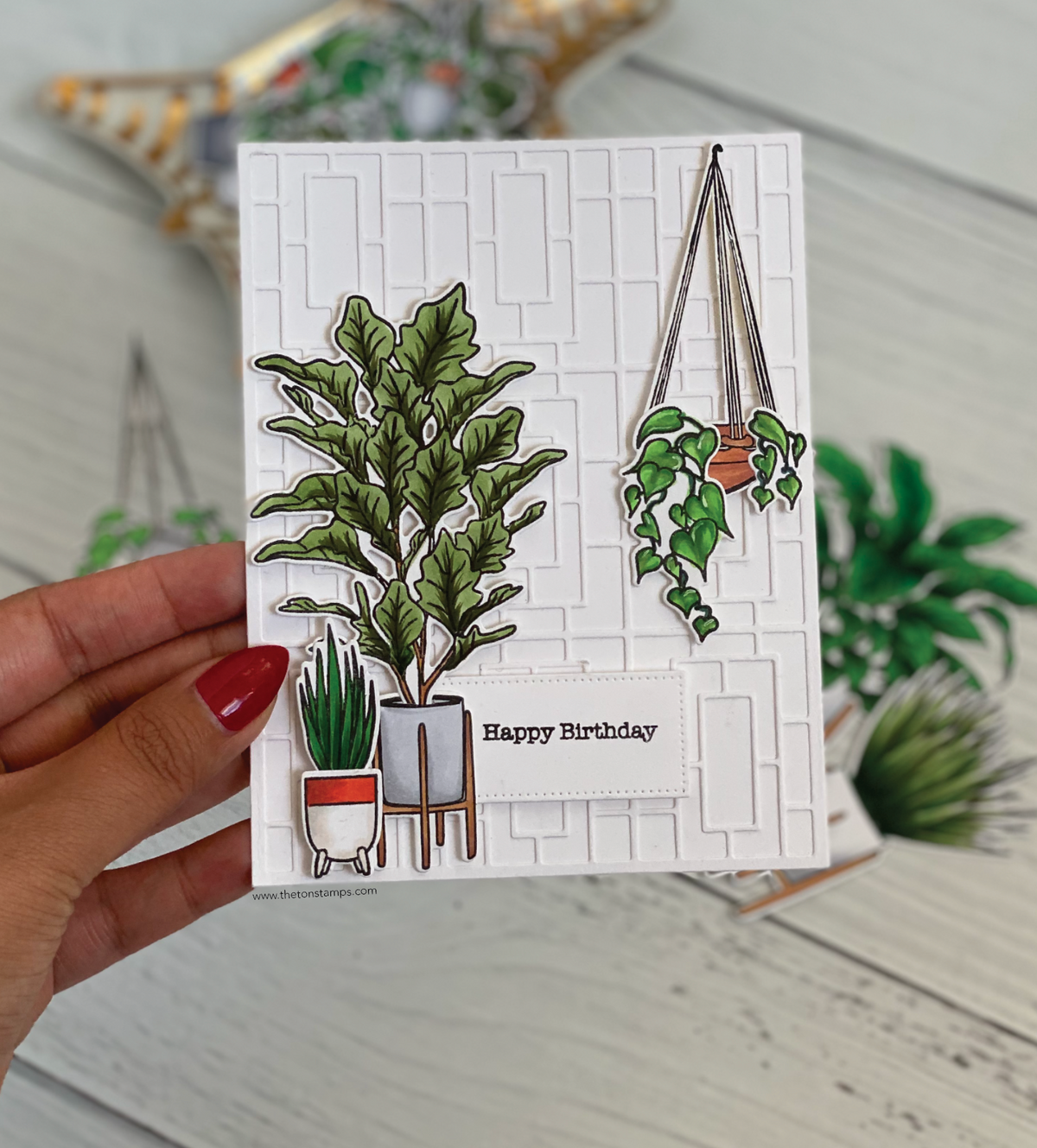 Lush Plants