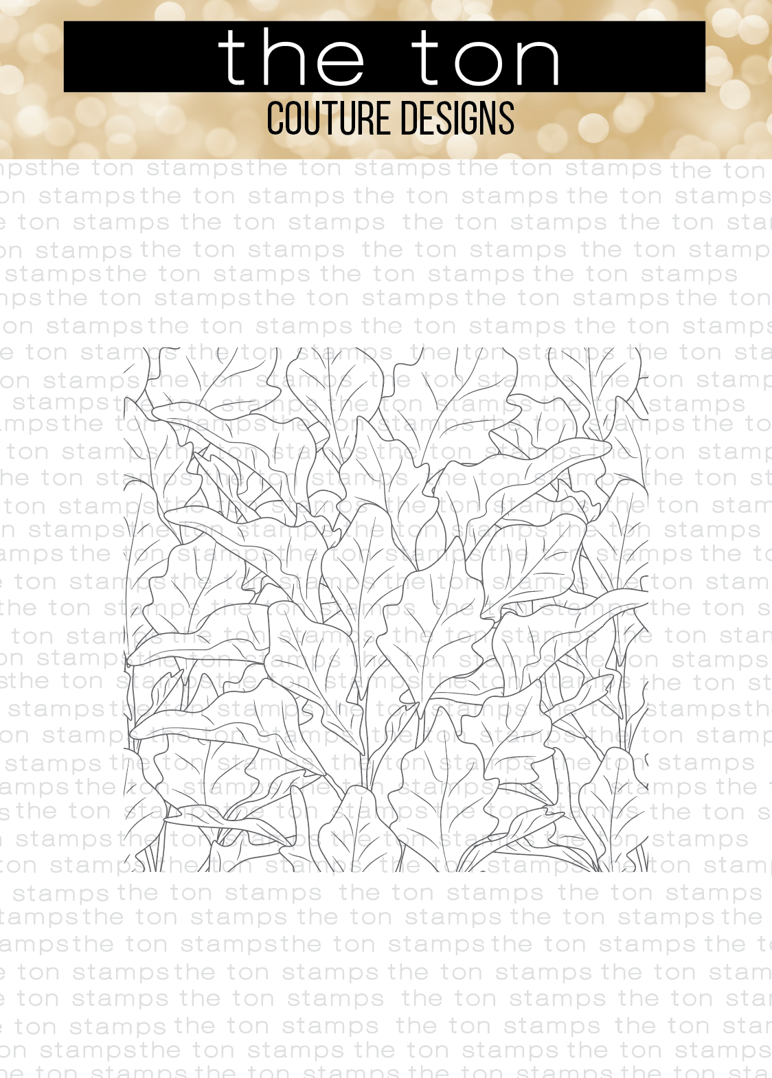 Fig Leaves Clear Background
