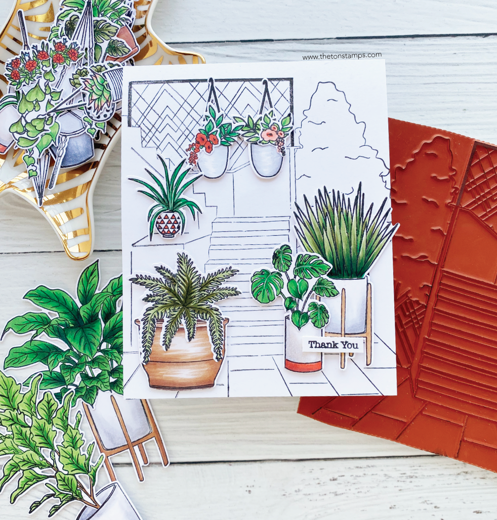 Plentiful Planters