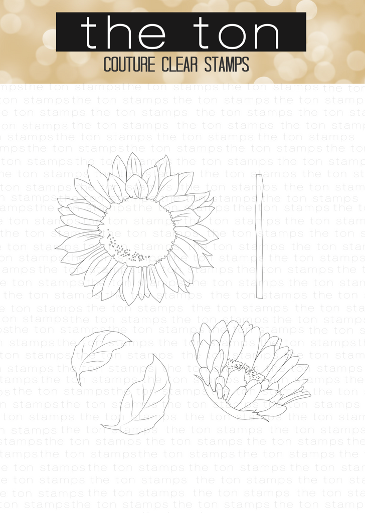 Fresh Cut Sunflowers Outlines