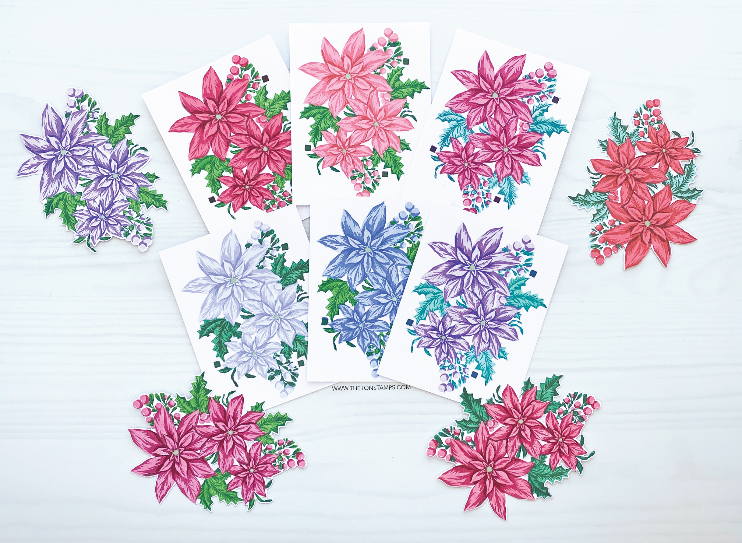 Boundless Poinsettias