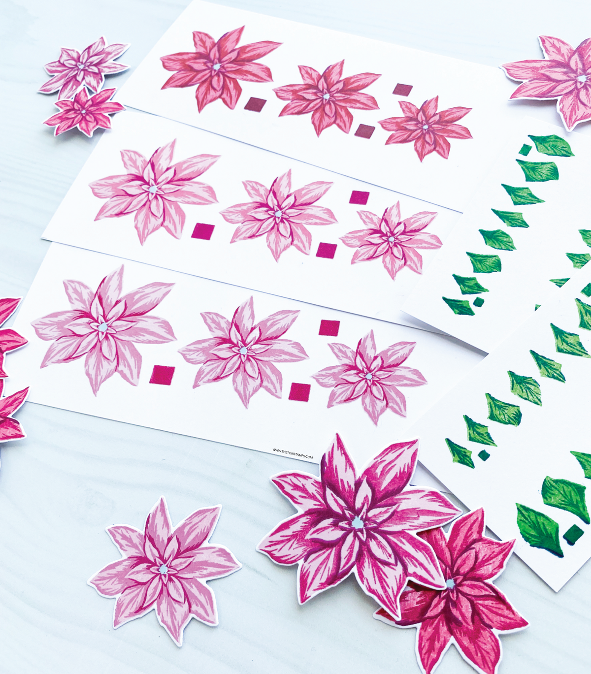 Dashing Poinsettias