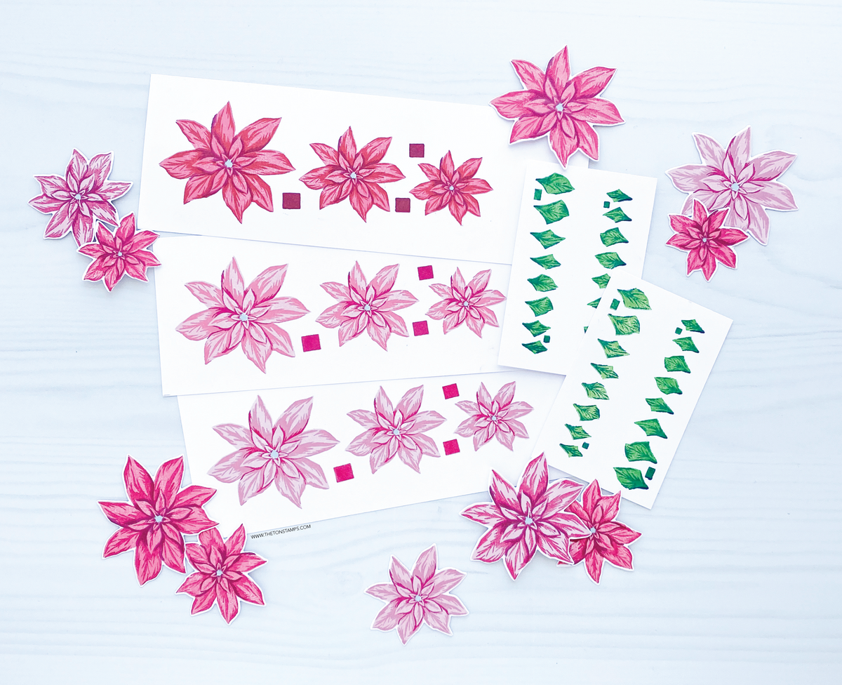 Dashing Poinsettias