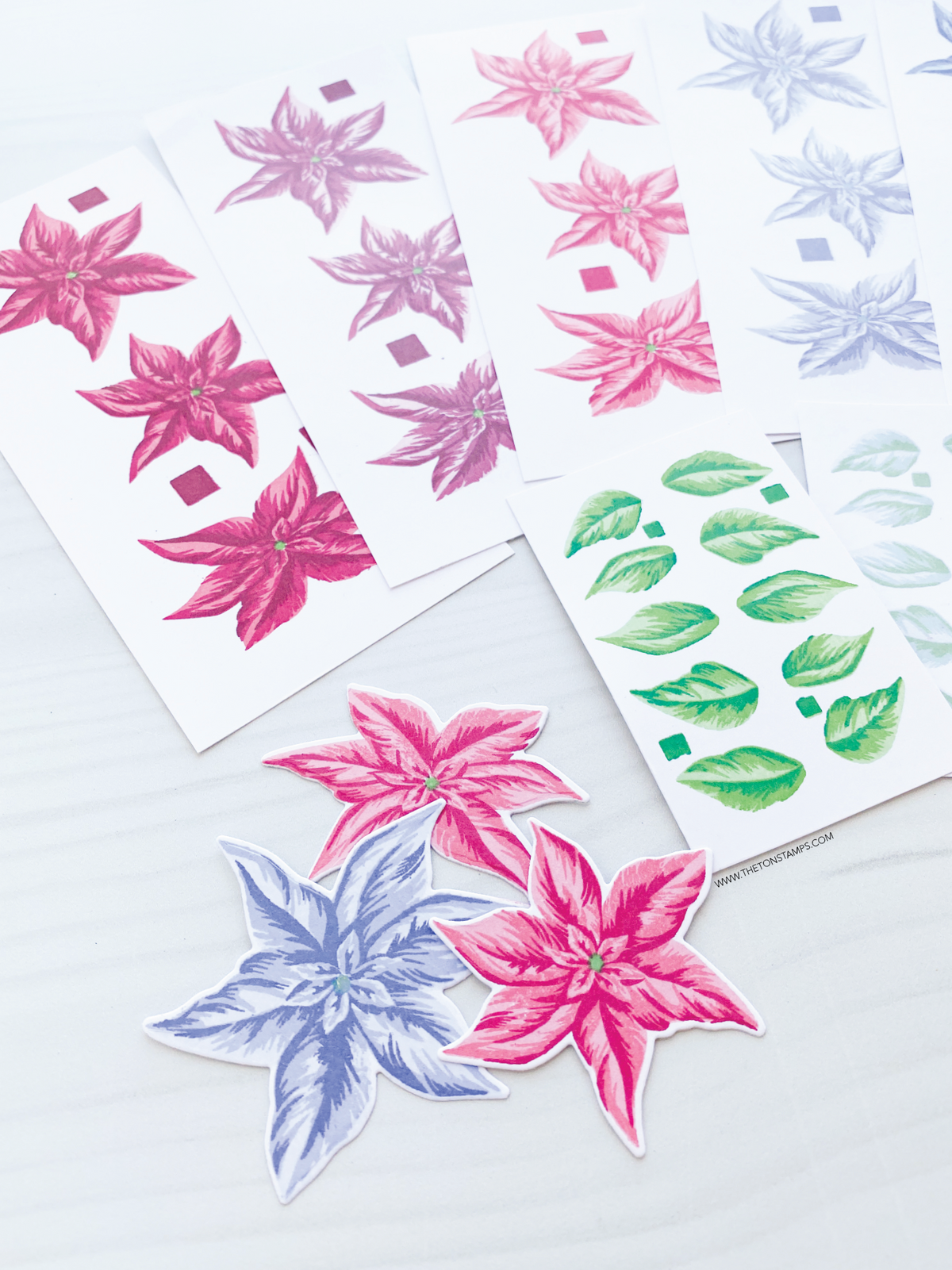 Pleasing Poinsettias