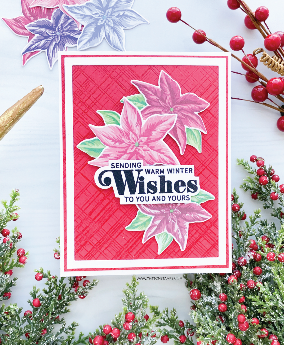 Pleasing Poinsettias