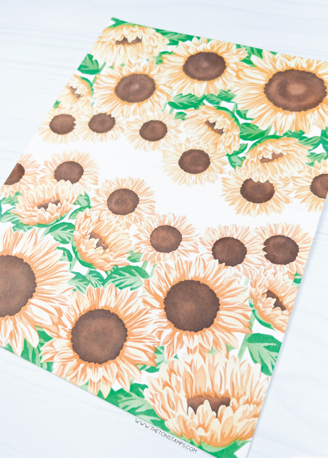 Sunflower Fields Layering Stencils