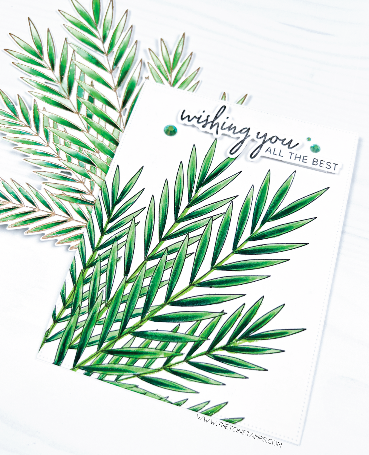 Fierce Ferns