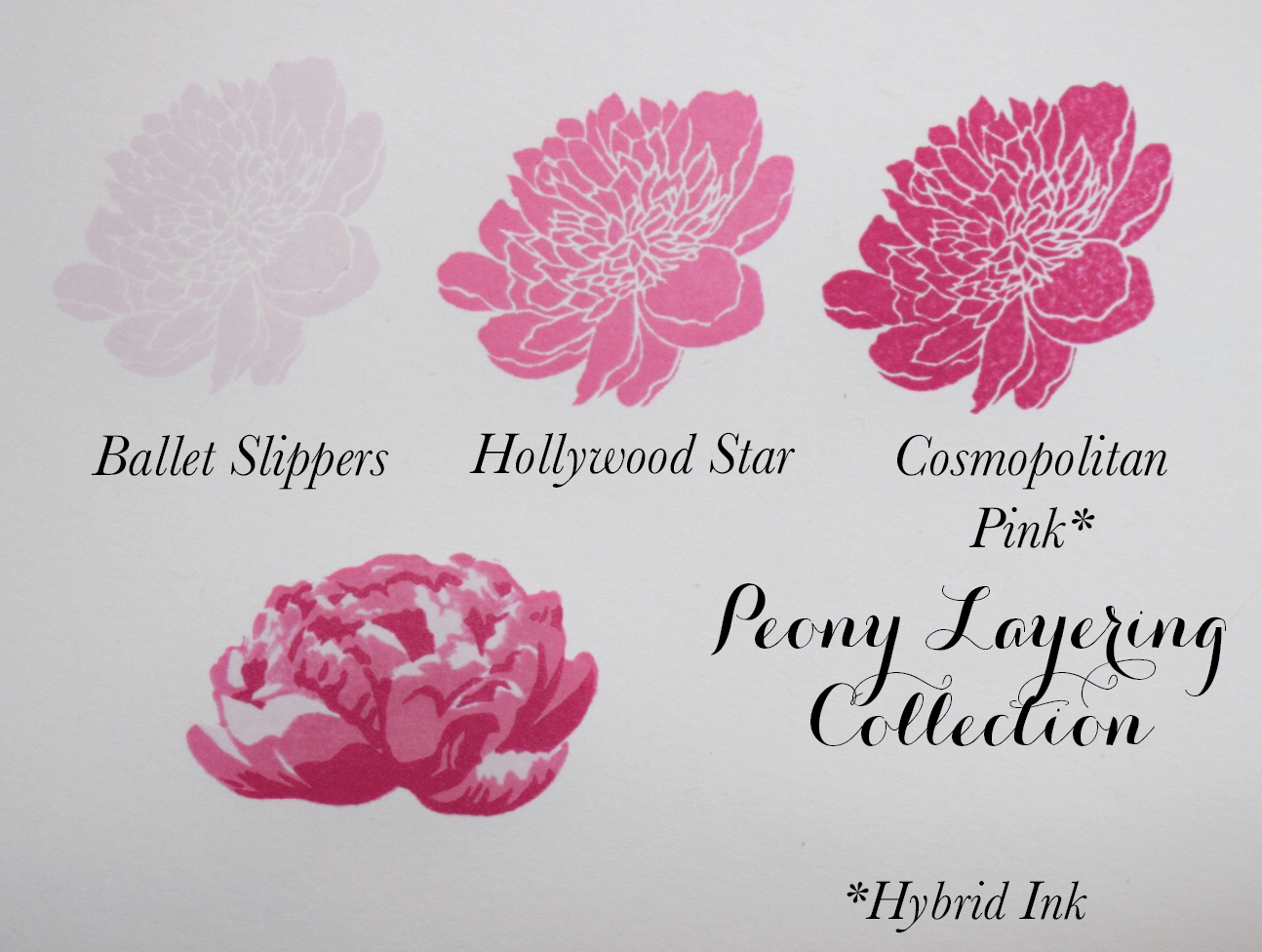 Couture Color - Peony Collection