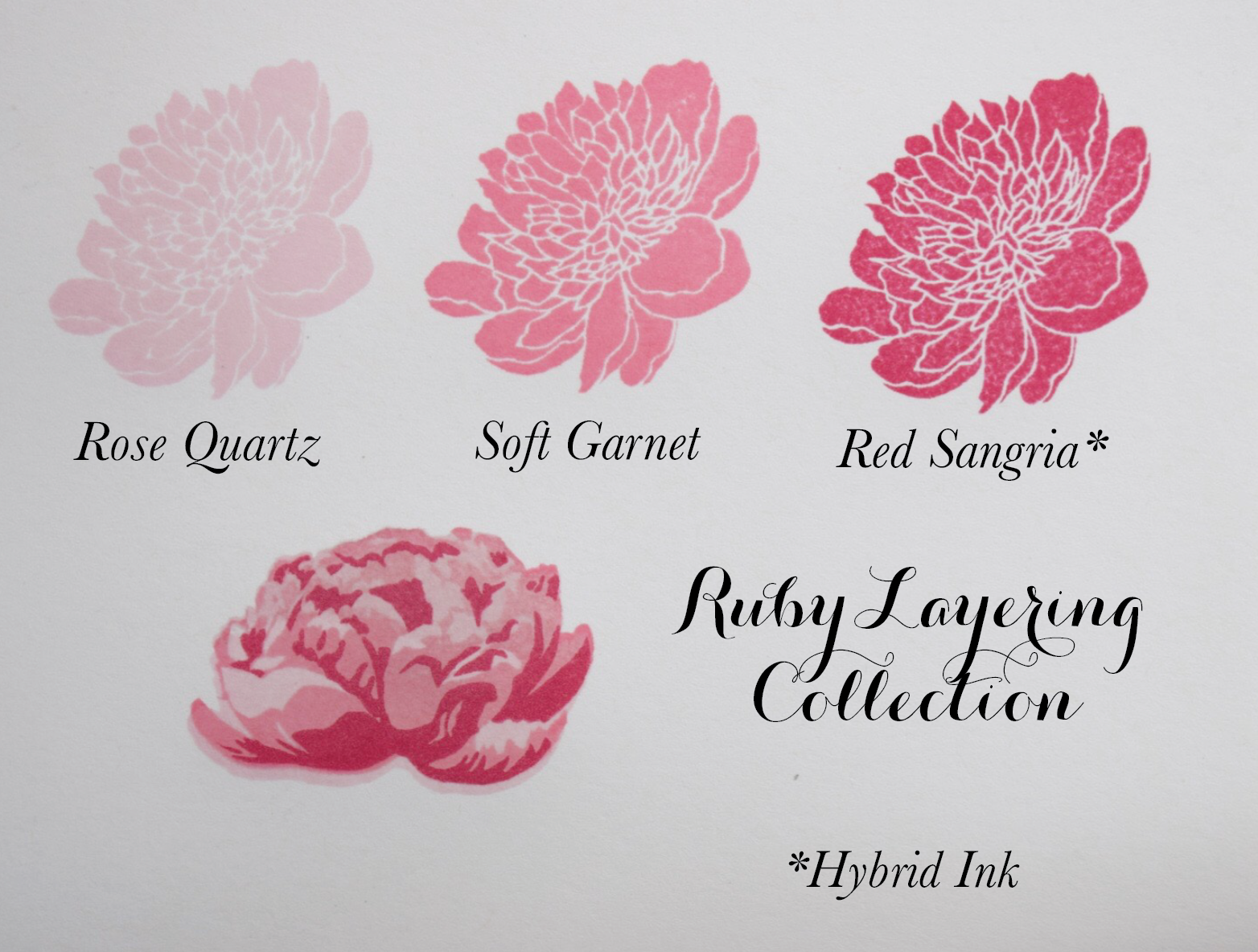 Reinker - Red Sangria Hybrid