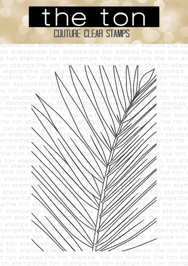 Palm Close Up
