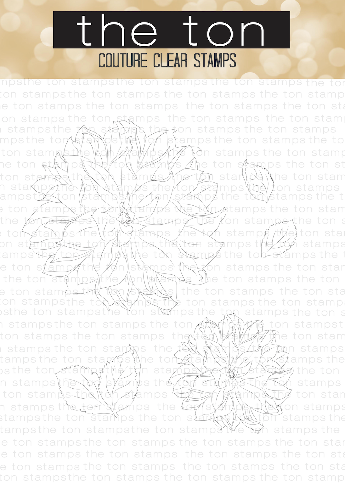 Large Dahlia 1