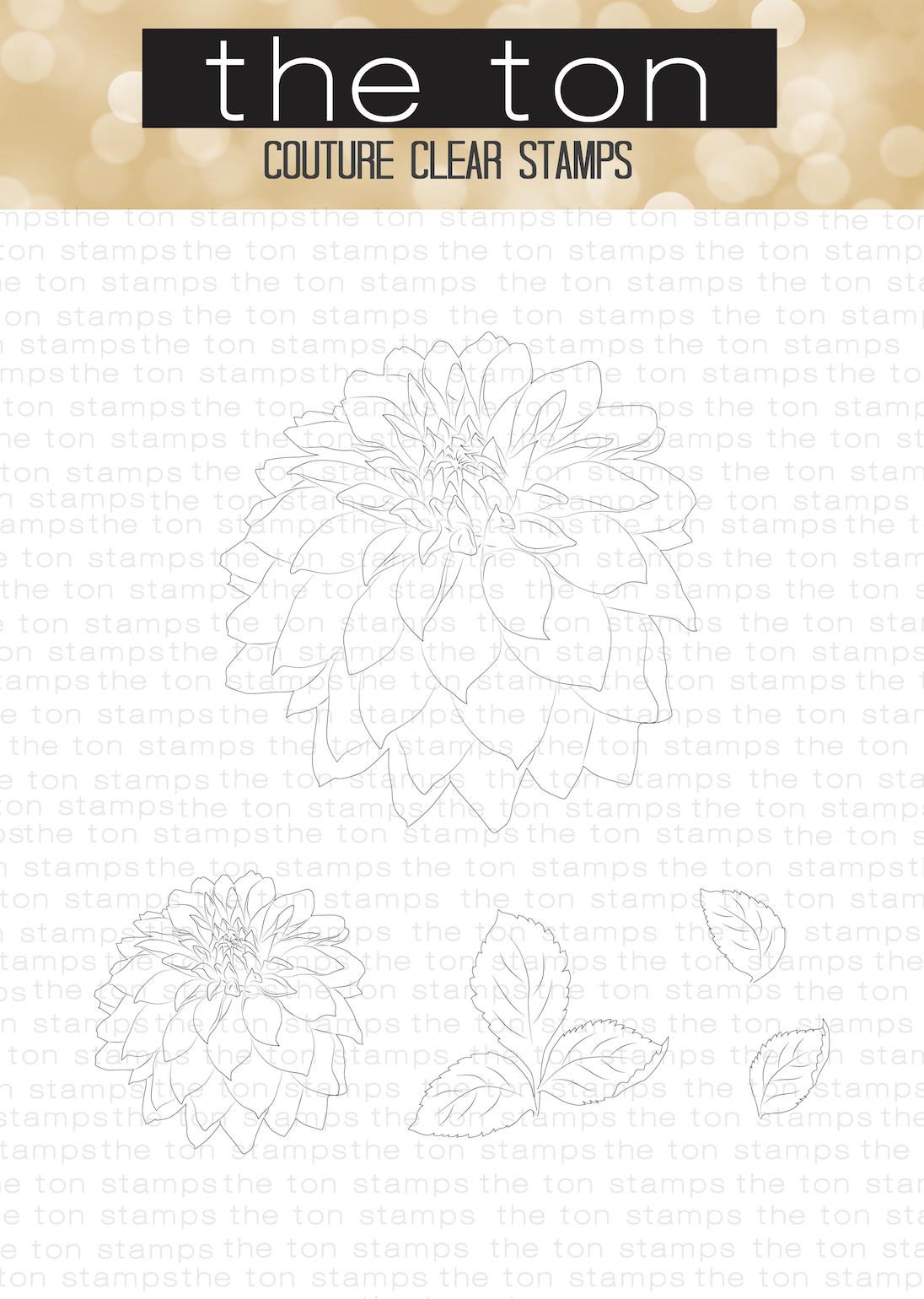 Large Dahlia 2