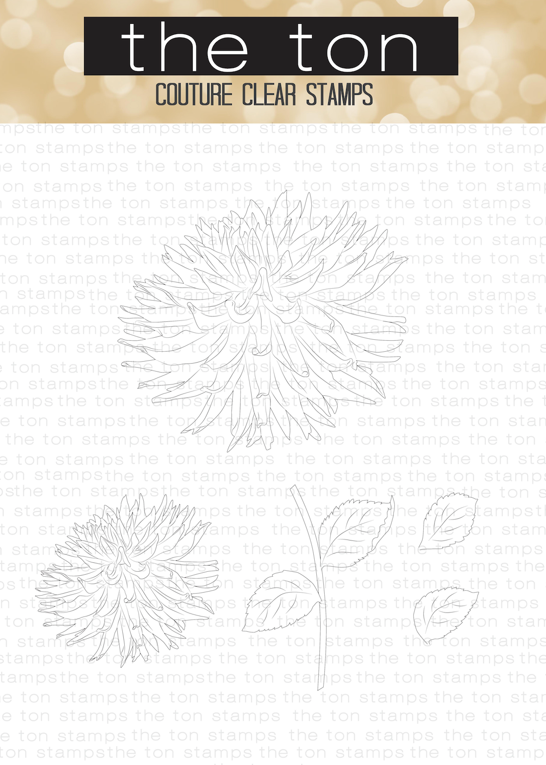 Large Dahlia 3