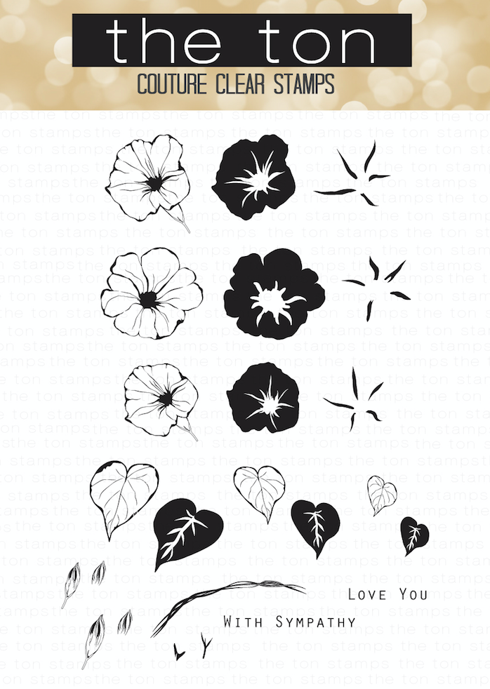 Wild Morning Glories