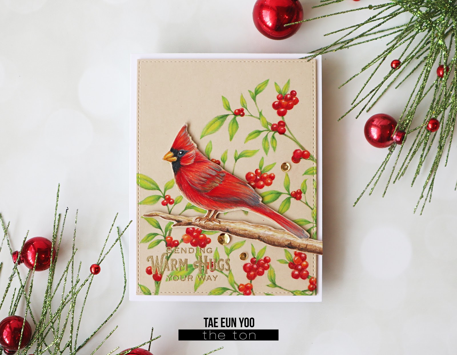Cardinal Friends