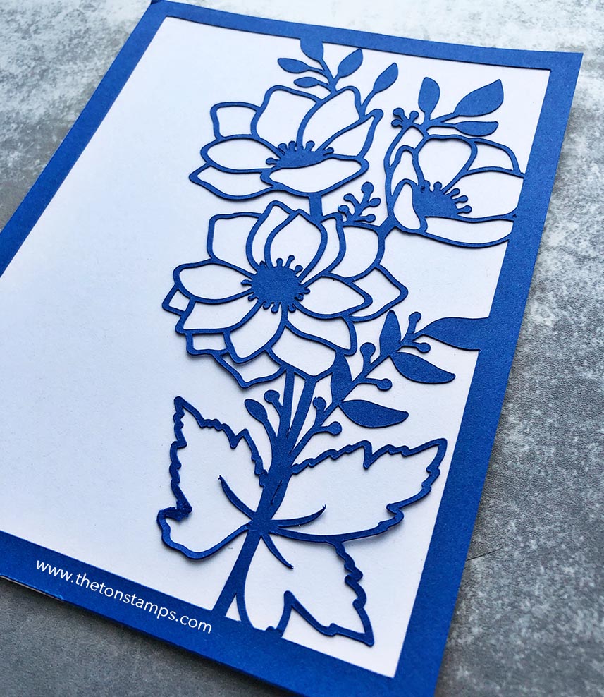 Anemone Bunch Coverplate Bundle SVG Cut File