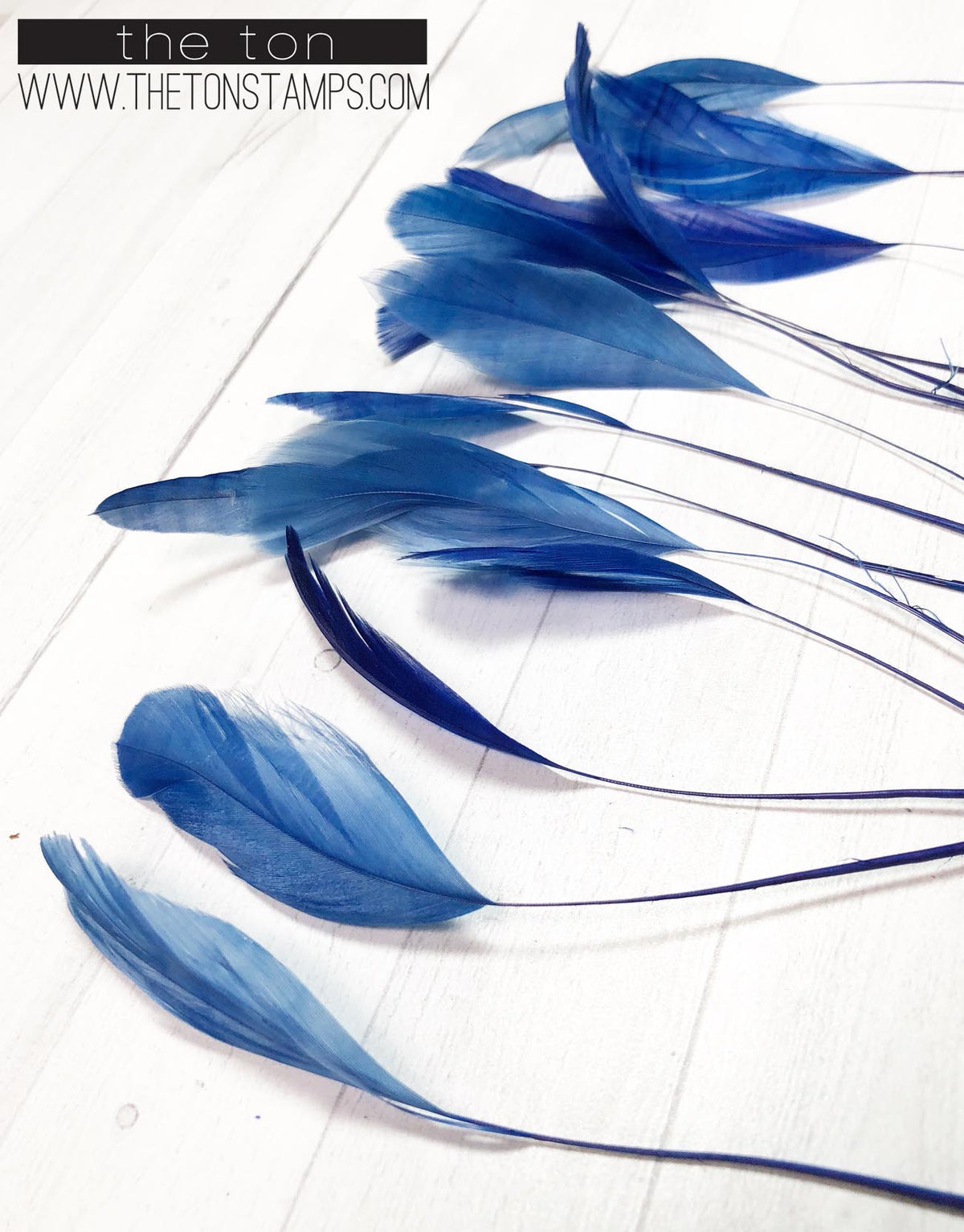 Feathers - Blue Fine