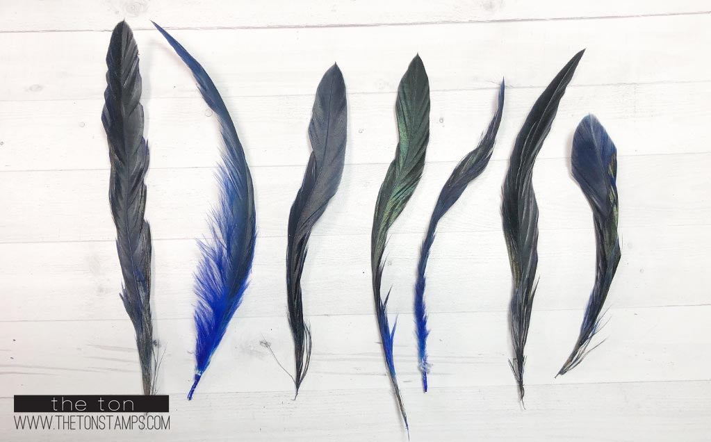 Feathers - Blue Long