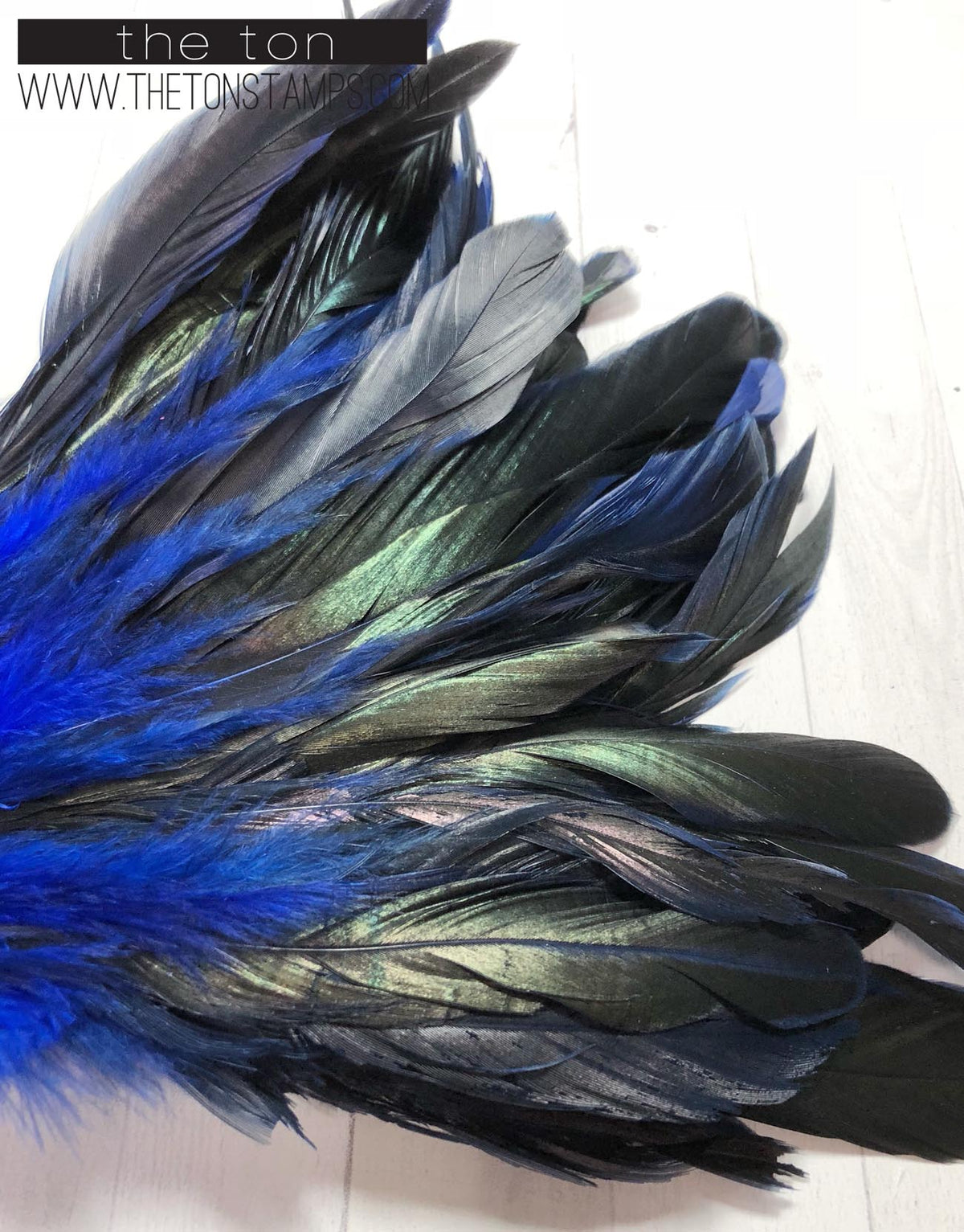 Feathers - Blue Long