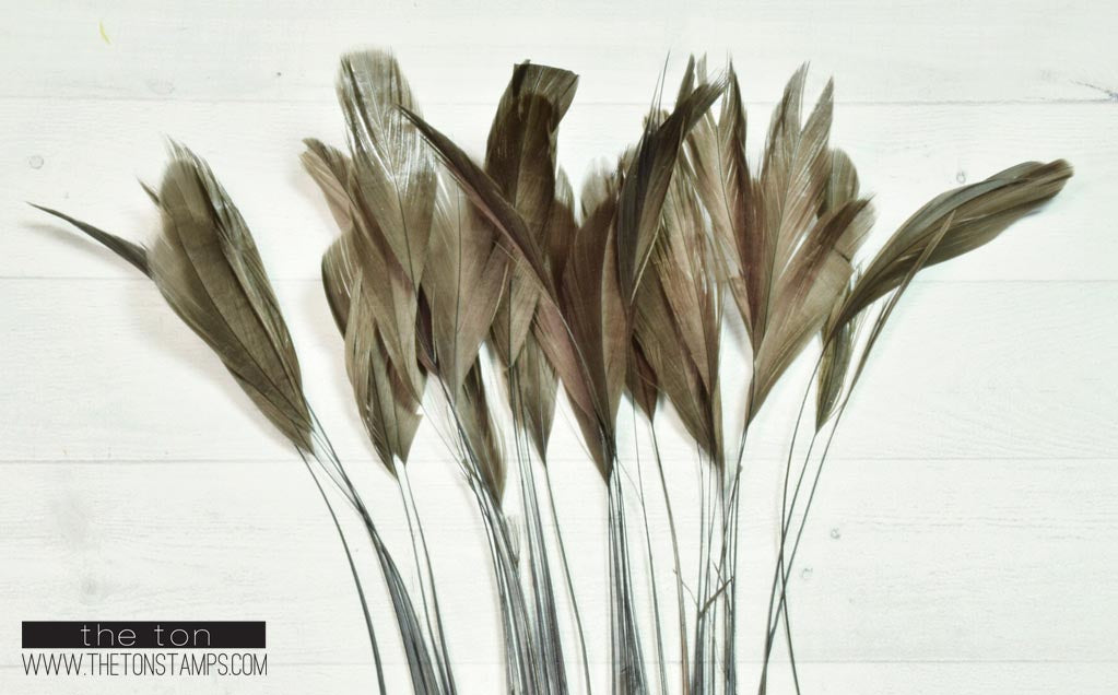 Feathers - Brown Fine