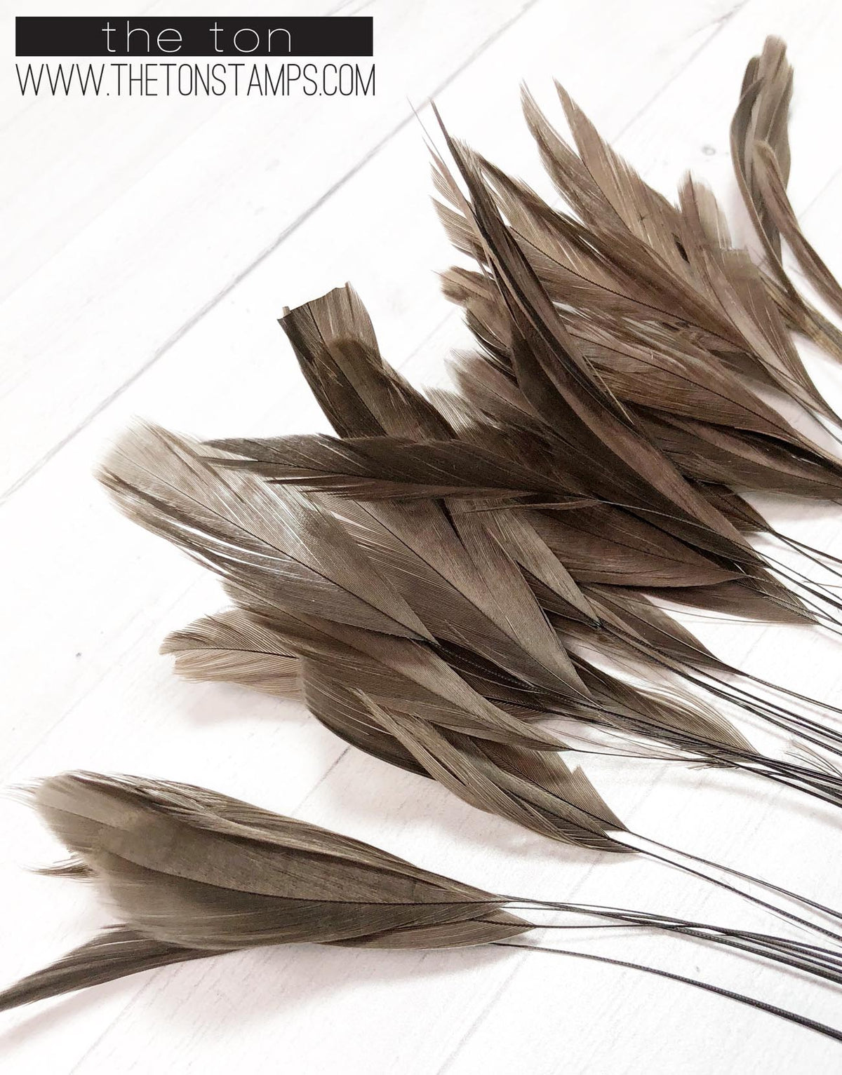 Feathers - Brown Fine