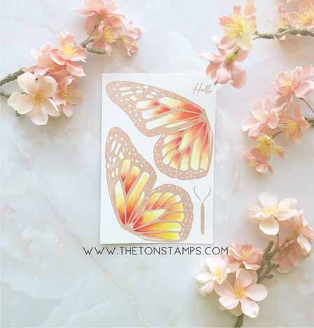 Butterfly Wings - Monarch