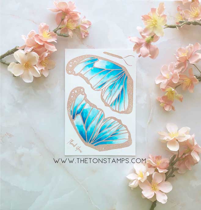 Butterfly Wings - Morpho