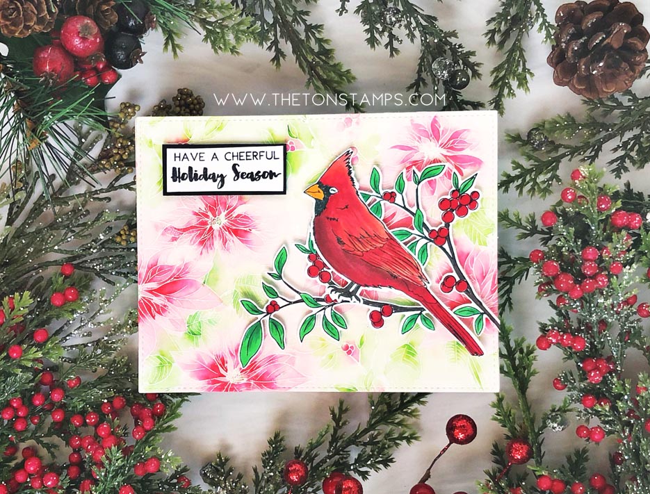 Cardinal Friends