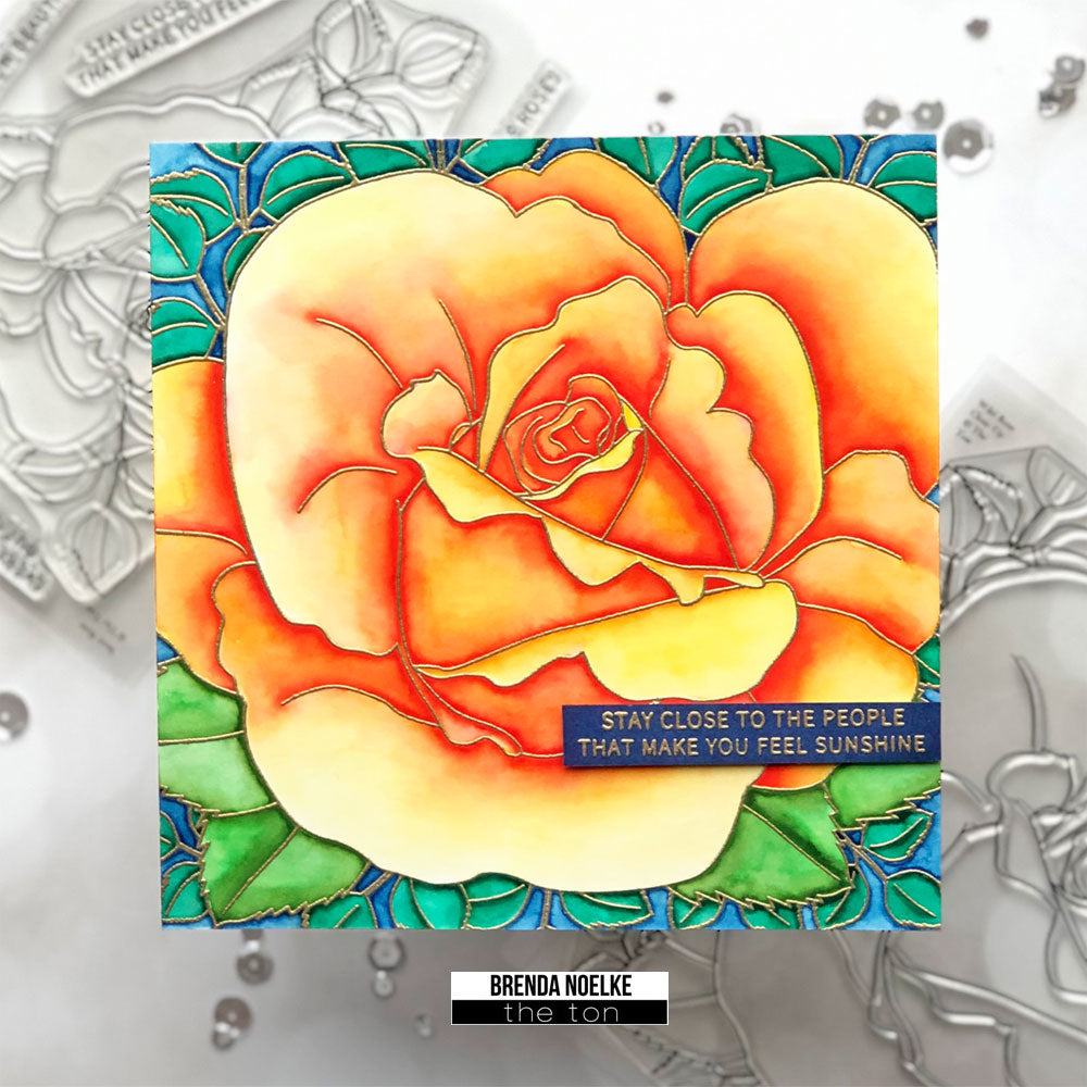 Wild Rose Close Up