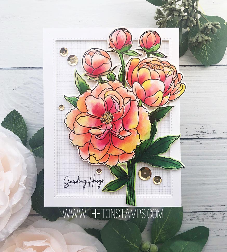 Coming Up Peonies