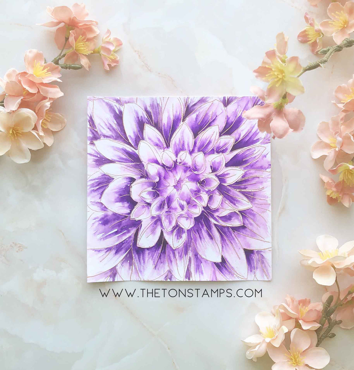 Dahlia Close Up Cling Background