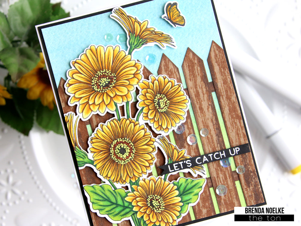 Coming Up Daisies