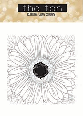 Daisy (Full View) Close Up Background