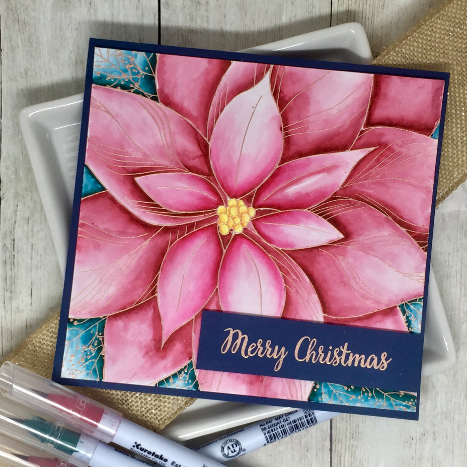 Poinsettia Close Up Background