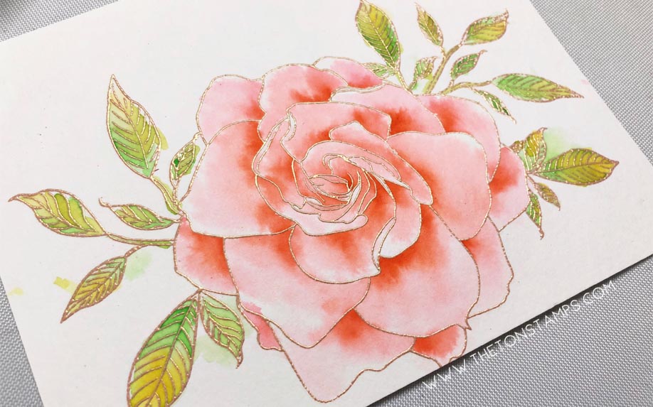 Amazing Gardenia