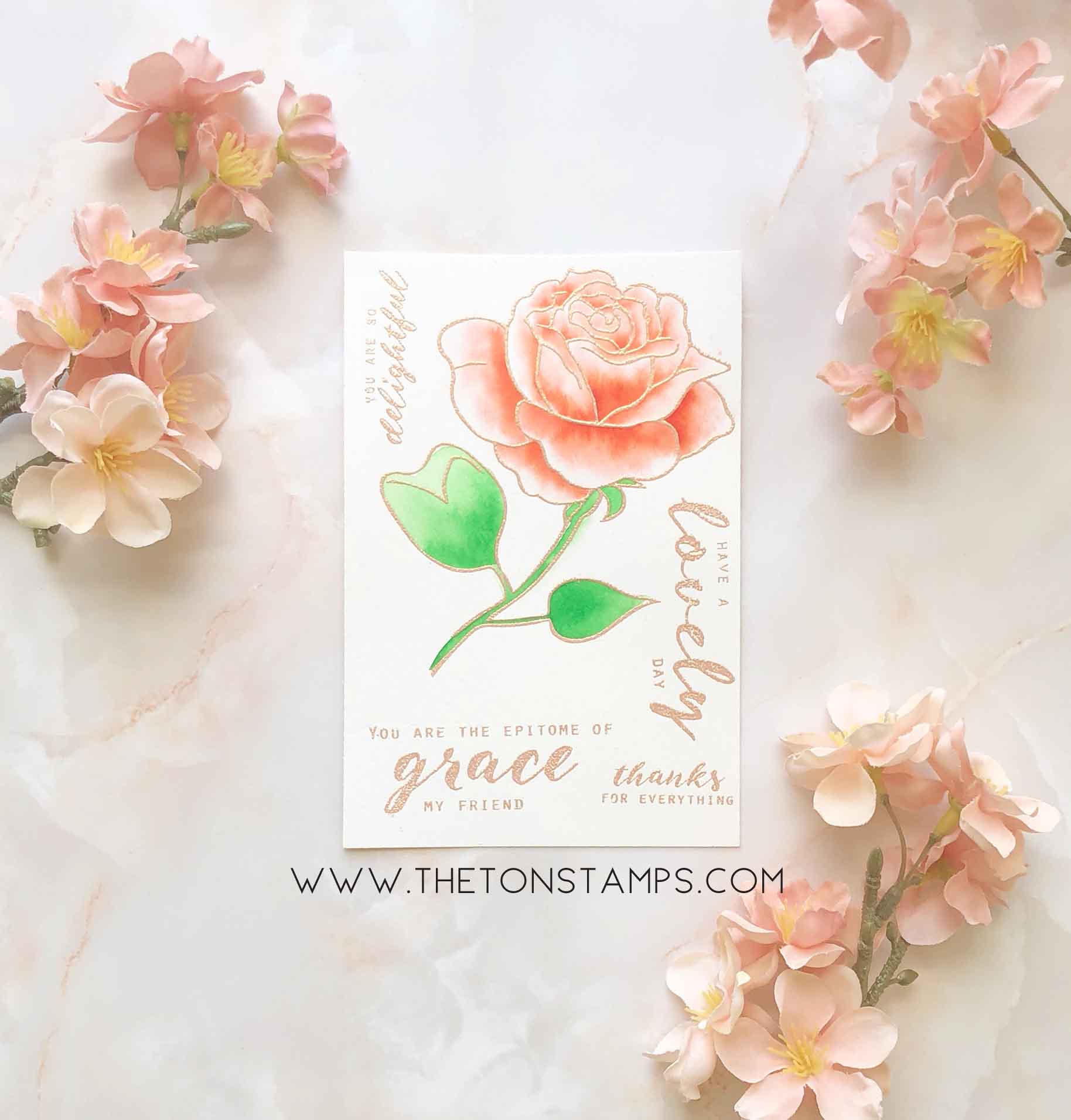 Graceful Rose
