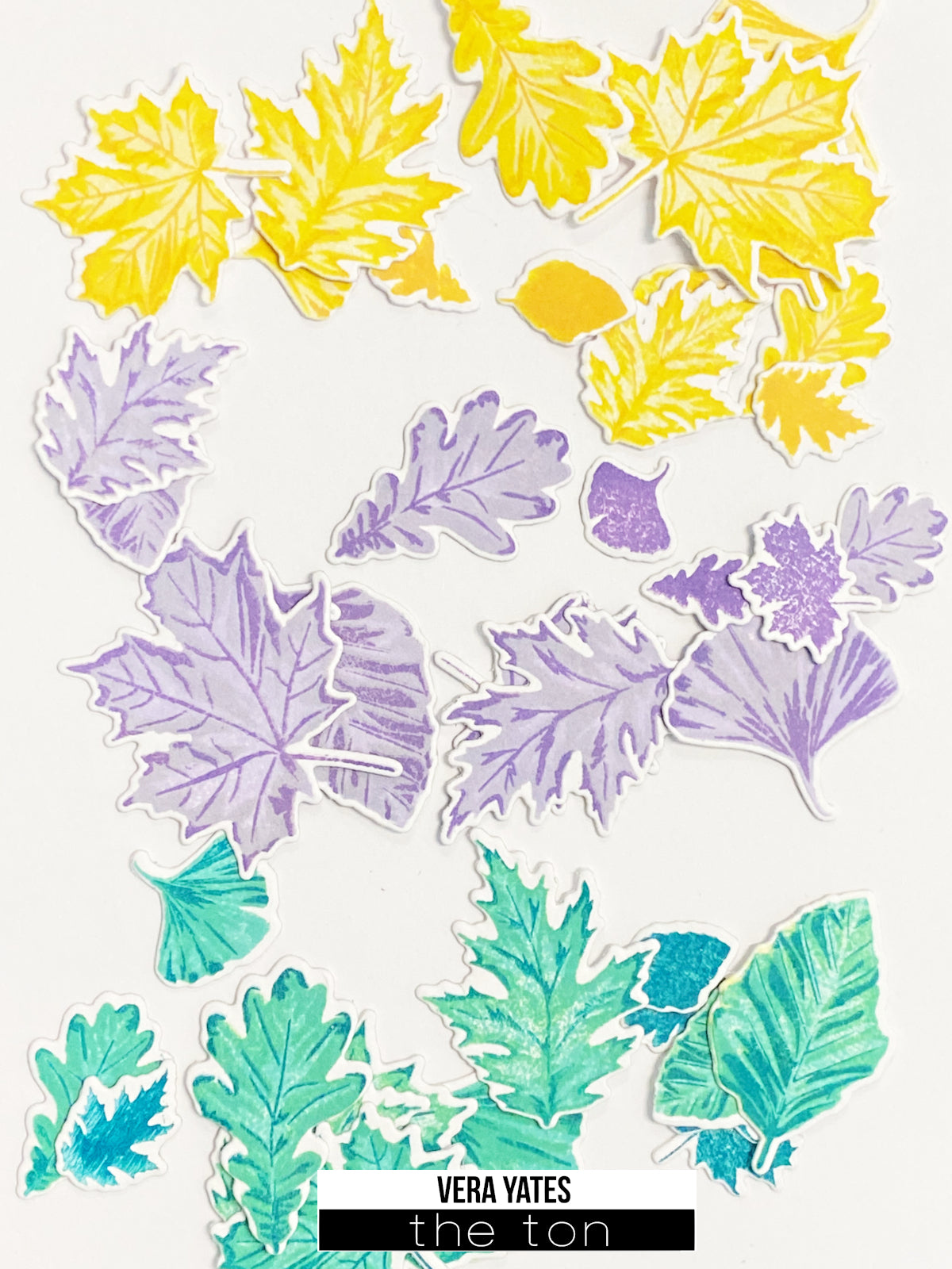 Grouped Autumn Foliage