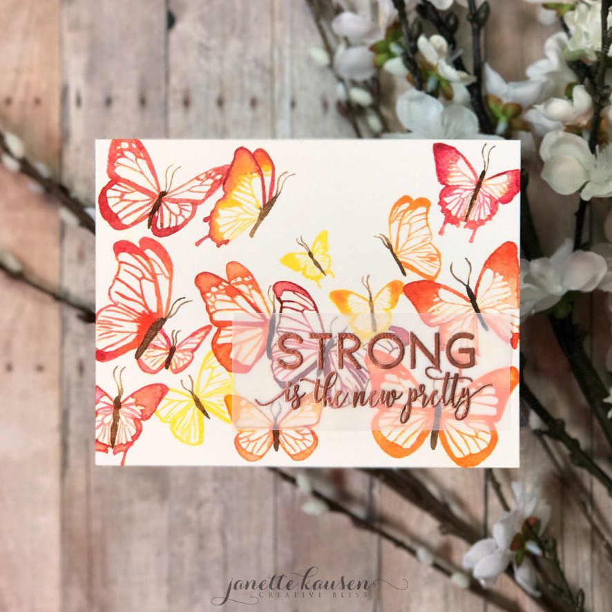 Beautiful Butterflies 1