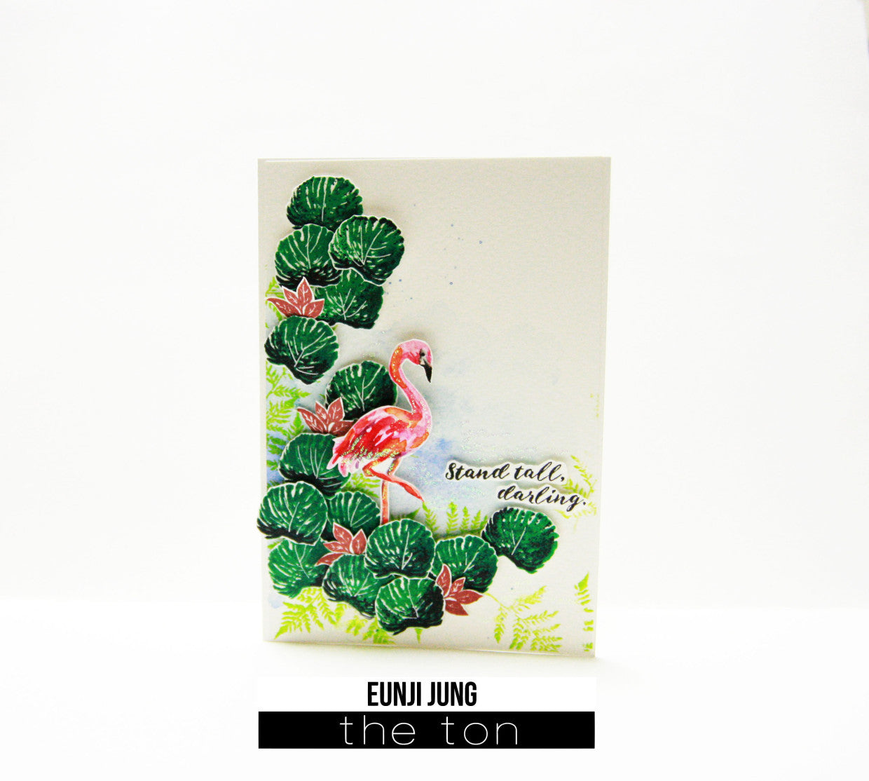 Darling Flamingos