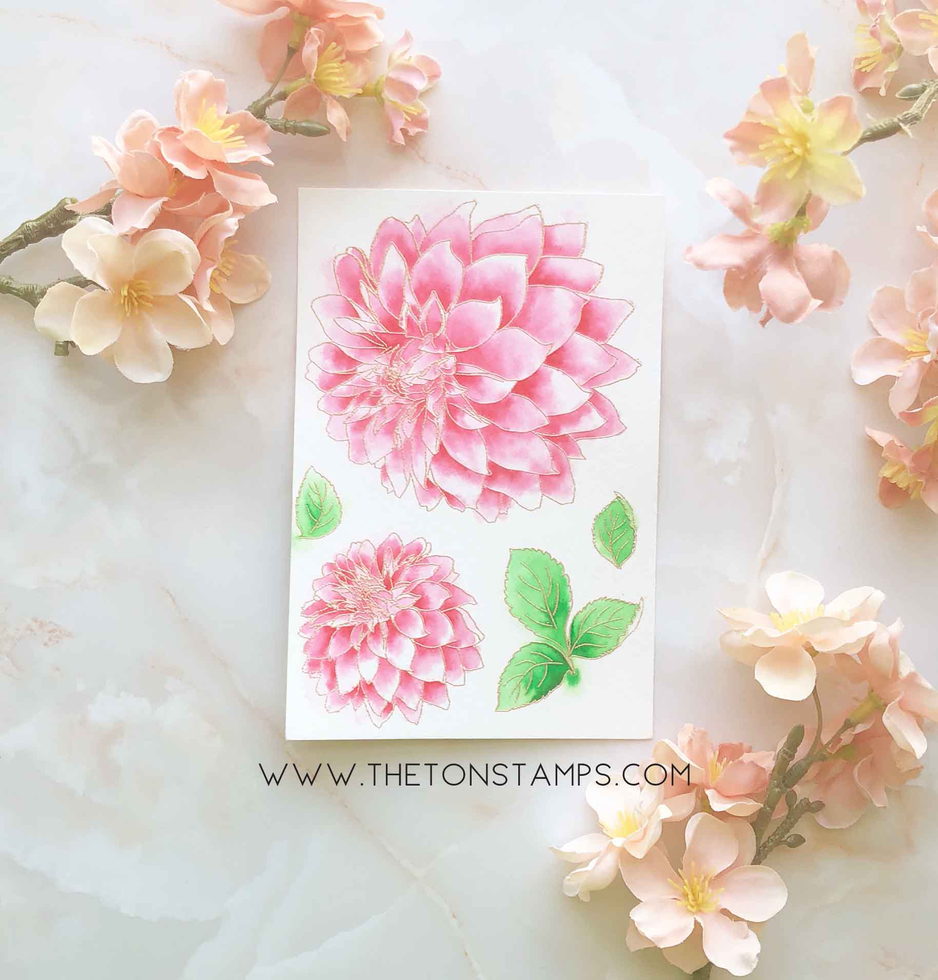 Large Dahlia 2
